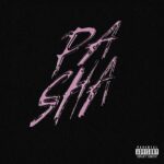 LA FLÈCHE: “PA-SHA” è il nuovo singolo del giovanissimo artista palermitano, prodotto da Achille G e 4TheNight